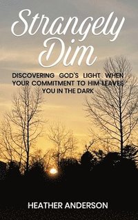 bokomslag Strangely Dim: Discovering God's Light When Your Commitment to Him Leaves You in the Dark