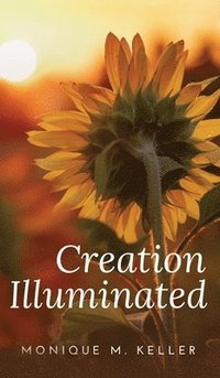 bokomslag Creation Illuminated