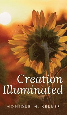 Creation Illuminated 1