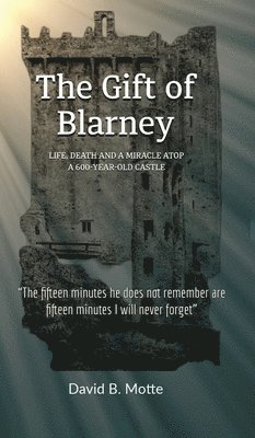 bokomslag Gift of Blarney