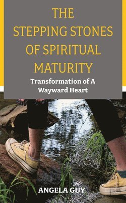 bokomslag Stepping Stones of Spiritual Maturity