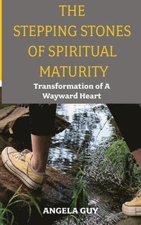 bokomslag Stepping Stones of Spiritual Maturity