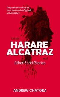 bokomslag Inside Harare Alcatraz and Other Short Stories