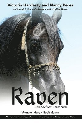 Raven 1