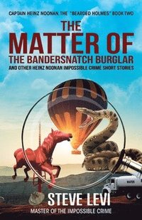 bokomslag The Matter of the Bandersnatch Burglar