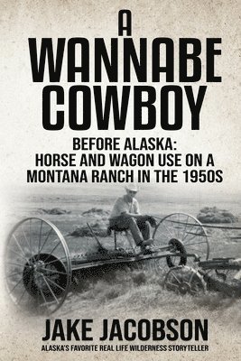 bokomslag A Wannabe Cowboy