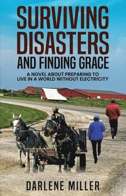 Darlene Miller - Surviving Disasters and Finding Grace, Häftad