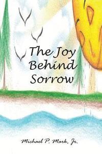 bokomslag Joy Behind Sorrow