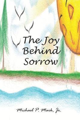 bokomslag Joy Behind Sorrow