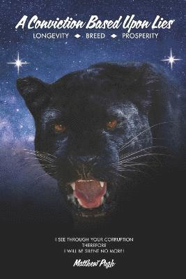 Matthew Pugh - Conviction Based Upon Lies, Häftad