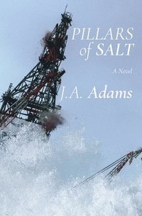bokomslag Pillars of Salt