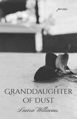 bokomslag Granddaughter of Dust