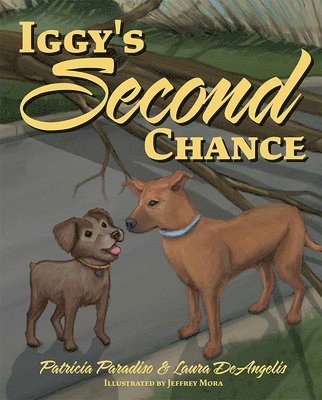 Iggy's Second Chance 1