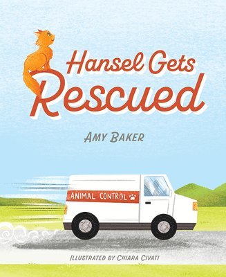 bokomslag Hansel Gets Rescued