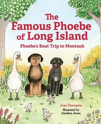 bokomslag The Famous Phoebe of Long Island