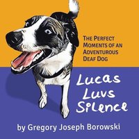 bokomslag Lucas Luvs Silence