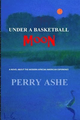 bokomslag Under a Basketball Moon