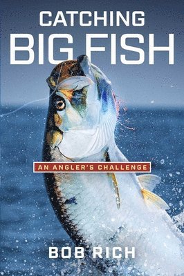 bokomslag Catching Big Fish