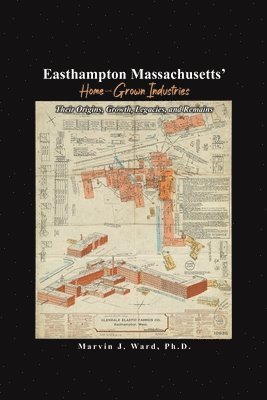 bokomslag Easthampton Massachusetts' Home-Grown Industries: Their Origins, Growth, Legacies, and Remains