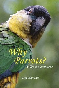 bokomslag Why Parrots?: Why Aviculture?