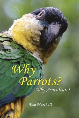Why Parrots?: Why Aviculture? 1