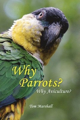 Why Parrots?: Why Aviculture?