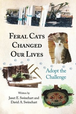 bokomslag Feral Cats Changed Our Lives: Adopt the Challenge