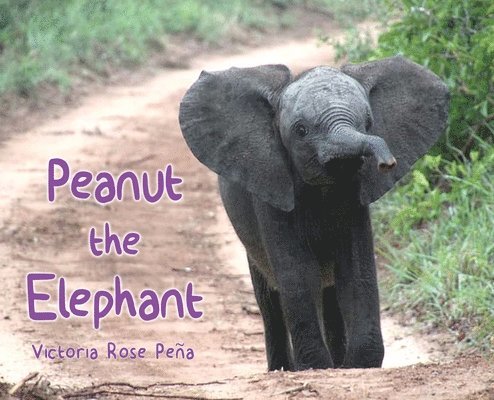 Peanut the Elephant 1