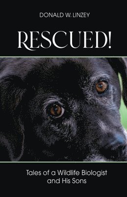 bokomslag Rescued!: Tales of a Wildlife Biologist and His Sons