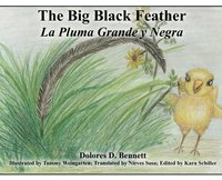 bokomslag The Big Black Feather