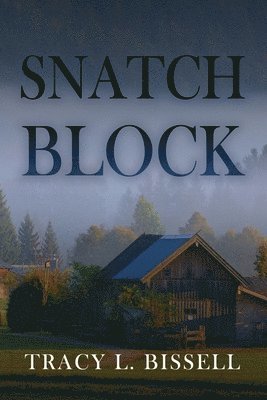 Snatch Block 1