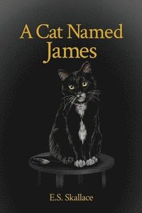 bokomslag A Cat Named James