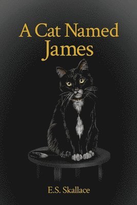bokomslag A Cat Named James