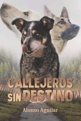 Callejeros sin destino 1