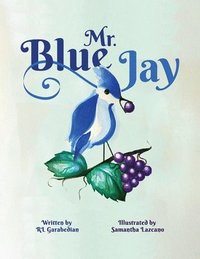 bokomslag Mr. Blue Jay