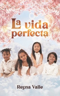 bokomslag vida perfecta