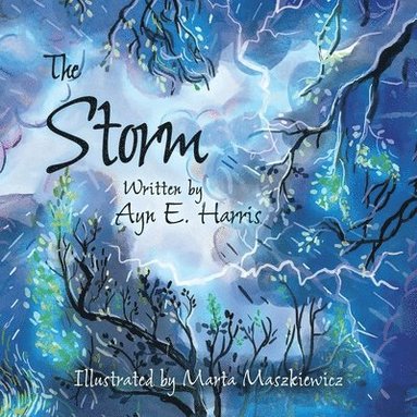 Ayn E Harris - Storm, Häftad