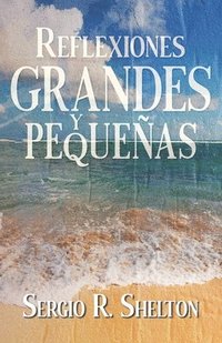 bokomslag Reflexiones grandes y pequeñas