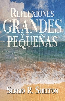 bokomslag Reflexiones grandes y pequeñas
