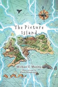bokomslag Picture Island