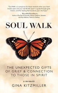 bokomslag Soul Walk