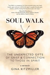 bokomslag Soul Walk