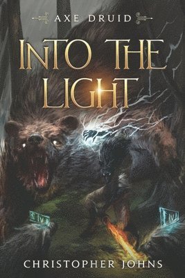 bokomslag Into the Light: An Epic LitRPG Series