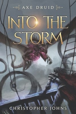 Christopher Johns - Into the Storm: An Epic LitRPG Series, Häftad