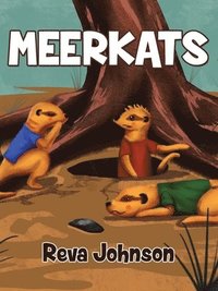 bokomslag Meerkats