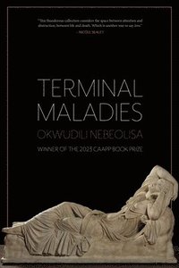 bokomslag Terminal Maladies