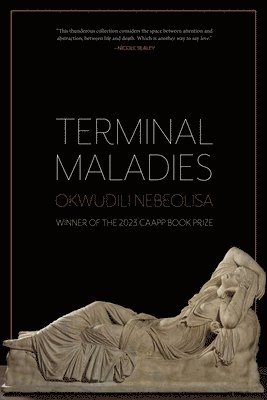 bokomslag Terminal Maladies