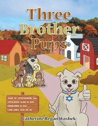 bokomslag Three Brother Pups