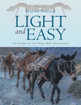 bokomslag Light and Easy