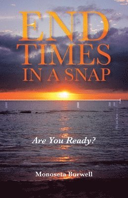 bokomslag End Times in a Snap